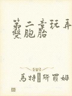 第二章玩弄少妇双胞胎