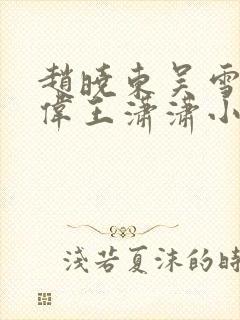 赵晓东吴雪晴郑伟王潇潇小说名字