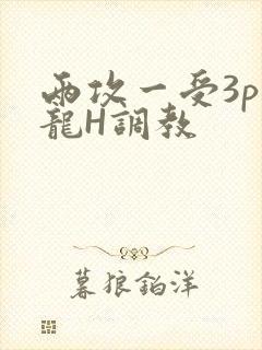 两攻一受3p双龙H调教