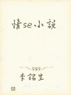 情se小说