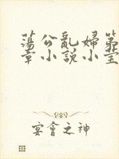 荡公乱妇第51章小说小莹
