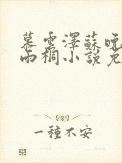 慕云泽苏晚晴夏雨桐小说免费阅读