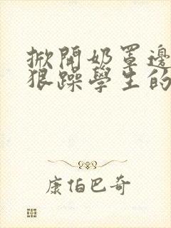 掀开奶罩边躁狠狠躁学生的小文字