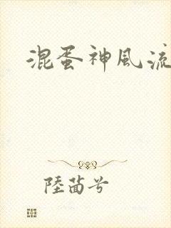 混蛋神风流史补