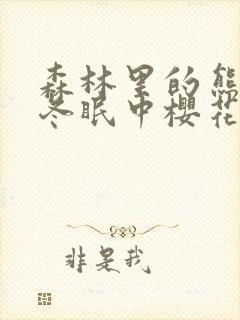 森林里的熊先生冬眠中樱花动漫