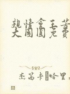 亲情会王芳高敏大团圆免费阅读