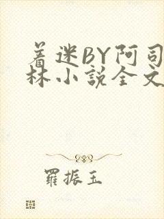 着迷BY阿司匹林小说全文免费阅读