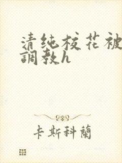 清纯校花被地狱调教h