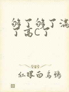 够了够了满到C了高C了