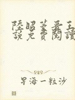 陆昭菱晋王的小说免费阅读