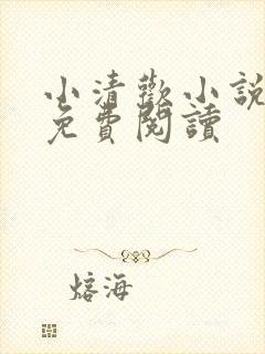 小清欢小说全文免费阅读