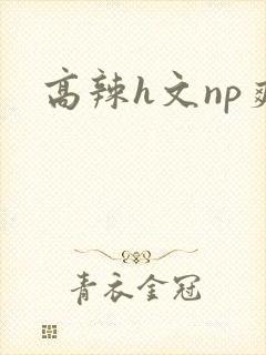 高辣h文np爽