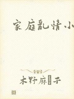 家庭乱情小说