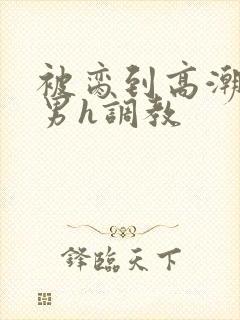 被脔到高潮的直男h调教