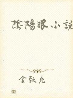 阴阳眼小说