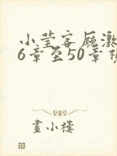 小莹客厅激情46章至50章视