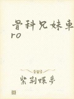 骨科兄妹车多pro