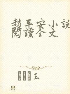 赵平安小说免费阅读全文