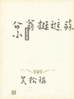 公翁挺进苏玥的小泬