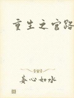 重生之官路风流