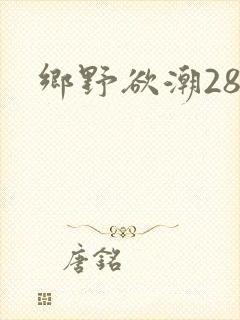乡野欲潮28章