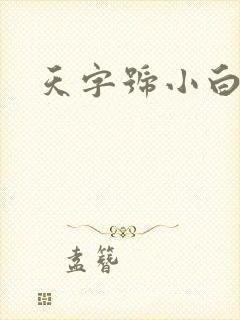 天字号小白脸