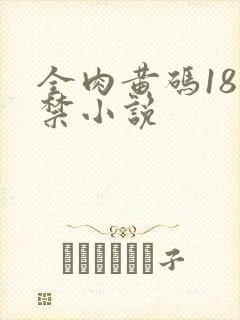 全肉黄码18无禁小说