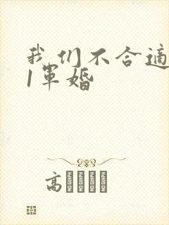 我们不合适1v1军婚