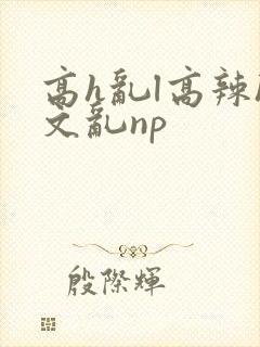 高h乱l高辣h文乱np