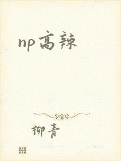 np高辣