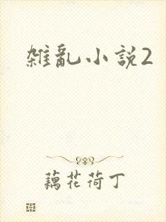 杂乱小说2