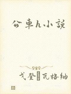 公车h小说