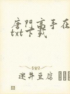 唐门高手在异世txt下载
