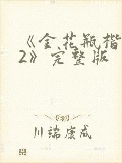 《金花瓶楷梅花2》完整版