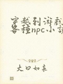 穿越到游戏里和各种npc小说