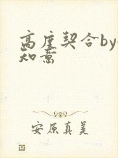 高度契合by洛知意