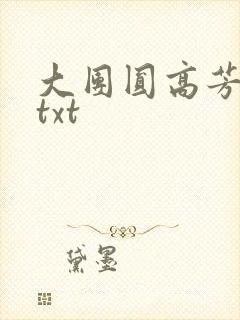 大团圆高芳小说txt