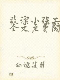 苏洁小强工地情全文免费阅读