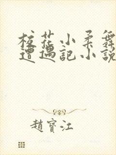 校花小柔舞蹈室遭遇记小说