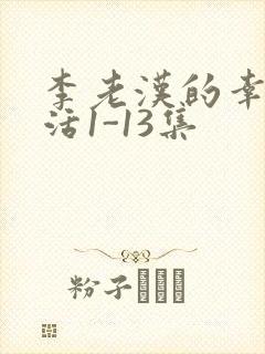 李老汉的幸福生活1-13集