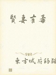 贤妻有毒