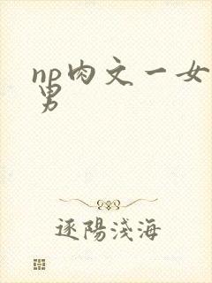 np肉文一女多男