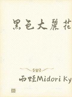 黑色大丽花图片