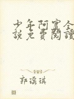 少年阿宾全文小说免费阅读笔趣阁