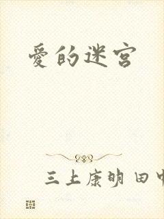 爱的迷宫