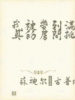 我被带到满是玩具的房间挑调作文