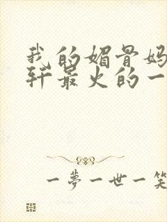 我的媚骨妈妈林轩最火的一句