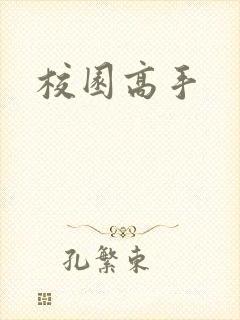 校园高手