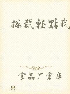 总裁轻点我怕疼