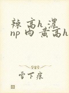 辣 高h 浓 np 肉 黄高h